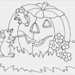 Herbstblätter Vorlagen Kostenlos Best Of Die Besten 25 Ausmalbilder Herbst Ideen Auf Pinterest