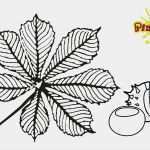 Herbstblätter Vorlagen Kostenlos Bewundernswert Ausmalbild Kastanienblatt Kostenlose Malvorlage