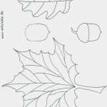 Herbstblätter Vorlagen Kostenlos Elegant Herbstblätter Vorlagen Bimbaboomboom