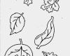 Herbstblätter Vorlagen Kostenlos Erstaunlich Herbstblätter Basteln Malvorlagen Ausmalbildertv