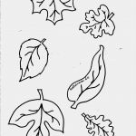 Herbstblätter Vorlagen Kostenlos Erstaunlich Herbstblätter Basteln Malvorlagen Ausmalbildertv