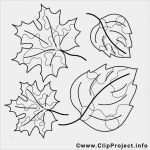 Herbstblätter Vorlagen Kostenlos Gut Herbst Ausmalbilder Gratis Ahornblatt Birkenblatt