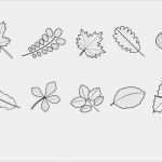 Herbstblätter Vorlagen Kostenlos Hübsch Ausmalbild Herbst Herbstlaub Ausmalen Kostenlos Ausdrucken