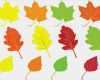 Herbstblätter Vorlagen Kostenlos Hübsch Sammlung Von Bunten Herbstblätter Auf Weißem Hintergrund