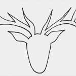 Herrnhuter Stern Vorlage Hübsch Stern Vorlage Basteln Peoplecheck