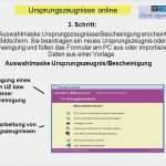 Herstellererklärung Vorlage Cool Ein Service Ihrer Ihks Ppt Herunterladen