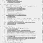 Herstellererklärung Vorlage Erstaunlich Dienstanweisung Zur Verordnung Über Die Beglaubigung Des