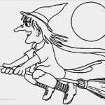 Hexe Basteln Vorlage Schön Malvorlage Hexe