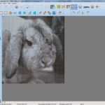 Hier Entsteht Eine Neue Internetpräsenz Vorlage HTML Schönste Bügelperlen Vorlagen Aus Euren Fotos [diy]