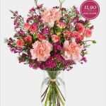 Hinweis Cookies Vorlage Gut Blumenarrangement Mit Rosa Nelken fortuna