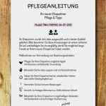Hochzeitsbuch Seite Gestalten Vorlage Hübsch Wanddeko Druckvorlage Print Pdf Pflegeanleitung