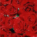 Hochzeitseinladungen Vorlagen Kostenlos Download Schönste Kostenlose Hochzeitseinladungen Vorlagen Zum Selbst