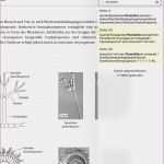 Hochzeitszeitung Vorlage Kostenlos Indesign Einzigartig T Konten Vorlage Pdf 15 T Kontenblatt Vorlage