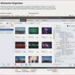 Hochzeitszeitung Vorlage Kostenlos Indesign Genial T Konten Vorlage Pdf 15 T Kontenblatt Vorlage
