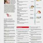 Hochzeitszeitung Vorlage Powerpoint Bewundernswert Klicken Sie Bitte Auf Das Gewnschte Bild Damit Sie