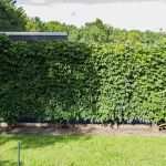 Holzfiguren Für Den Garten Vorlagen Bewundernswert Sichtschutz Ideen Für Den Garten