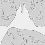 Holzpuzzle Vorlagen Best Of Animal Puzzles for the Scroll Saw