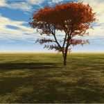 Home Office Vereinbarung Vorlage Wunderbar Kontakt