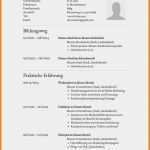 Homepage Im Aufbau Vorlage Hübsch 17 Lebenslauf Rechtsanwalt