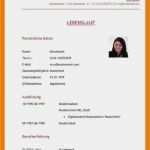 Homepage Im Aufbau Vorlage Süß 9 Aufbau Lebenslauf Student