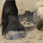 Homepage In Bearbeitung Vorlage Hübsch Leistungen Preise Meine Webseite