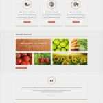 Homepage Layout Vorlagen Schön Website Vorlage Für Landwirtschaft