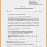 Homepage Rechtsanwalt Vorlage Süß 15 Briefkopf Rechtsanwalt Muster