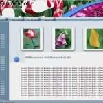 Homepage Vorlagen Download Erstaunlich Download Professionelle Homepage Vorlagen Und Günstig Kaufen