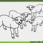 Homepage Vorlagen Gratis Hübsch Ausmalbilder Tiere Kostenlose Malvorlagen