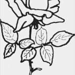 Homepage Vorlagen Kostenlos Inspiration Dreamland Blumen