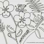 Homepage Vorlagen Kostenlos Süß Malbücher Kostenlos Coloriagenoel Store