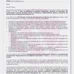 Honig Etiketten Vorlagen Kostenlos Elegant Honig Etiketten Vorlagen Sammlungen Von 25 Zuletzt Honig