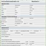 Honorarrechnung Vorlage Kostenlos Erstaunlich 20 Gehaltsabrechnung formular Kostenlos