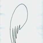 Hose Nach Vorlage Schneidern Lassen Erstaunlich Engelsflügel Aus Filterpapier