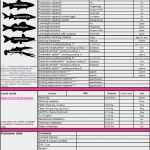 Hoshin Kanri Vorlage Wunderbar Lovely Hoshin Kanri Matrix Tw61 – Documentaries for Change