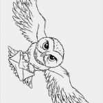 Hp Vorlagen Kostenlos Erstaunlich Imprime Le Dessin à Colorier De Harry Potter