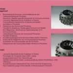 Hs Offenburg Powerpoint Vorlage Erstaunlich Der Stadt Frankenthal Pfalz Ppt Herunterladen
