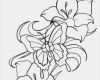 Html Design Vorlagen Inspiration 41 Tattoo Vorlagen Mit Diversen Motiven Kostenlos