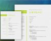 Html Layout Vorlagen Genial Lebenslauf Bewerbung Muster Grün Meinebewerbung