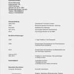 Html Lebenslauf Vorlage Cool Lebenslauf