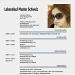 Html Lebenslauf Vorlage Erstaunlich Lebenslauf Dokument Lebenslauf Beispiel