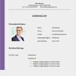 Html Lebenslauf Vorlage Erstaunlich Muster Lebenslauf Word Muster Lebenslauf Jobscout24