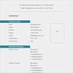 Html Lebenslauf Vorlage Inspiration Lebenslauf Mustervorlage Lebenslauf Beispiel