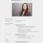 Html Lebenslauf Vorlage Wunderbar Tabellarischer Lebenslauf Vorlage Kostenlose Muster Zum