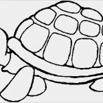 Html Seite Vorlage Wunderbar Seite 2