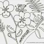 Html Vorlagen Free Einzigartig Mandala Fisch Bunt