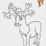 Html Vorlagen Free Erstaunlich Weihnachten Vorlagen 2