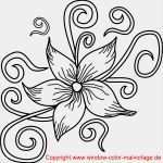 Html Vorlagen Free Inspiration Blumen Zeichnen Vorlagen – Free Vorlagen