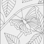 Html Vorlagen Free Wunderbar Schmetterling Window Color Bild Zum Ausdrucken