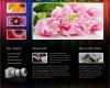 Html Website Vorlage Inspiration Website Vorlage